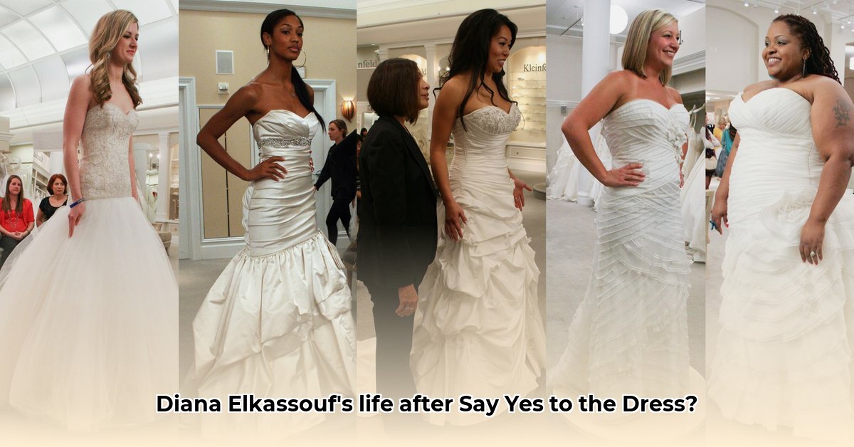 diana-elkassouf-net-worth